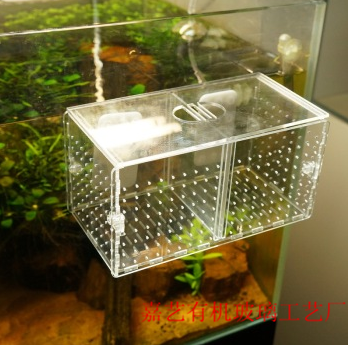 有機玻璃飼養箱 透明